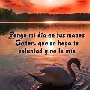 Meet your Posher, Lenin